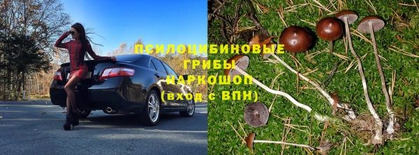 соль курить ск Дмитриев