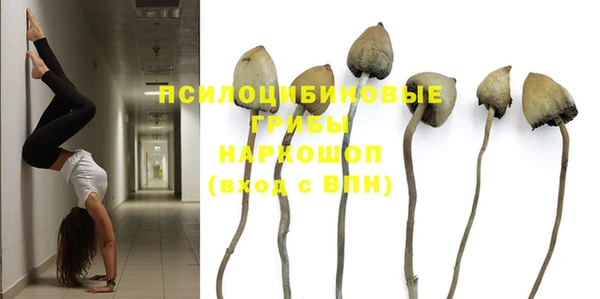 а пвп мука Дмитровск