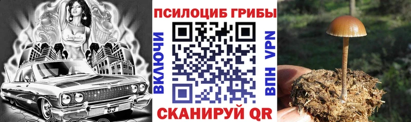 Галлюциногенные грибы прущие грибы цены Туран